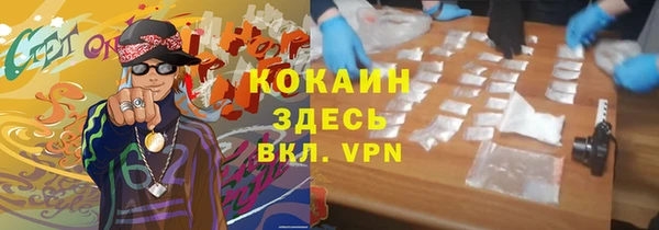 индика Киреевск