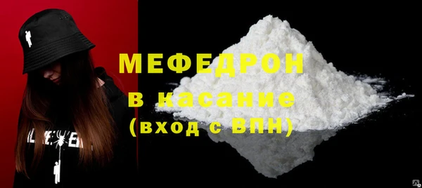 индика Киреевск