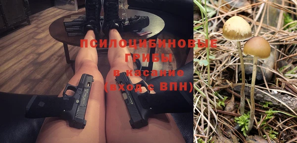 мдма Козельск
