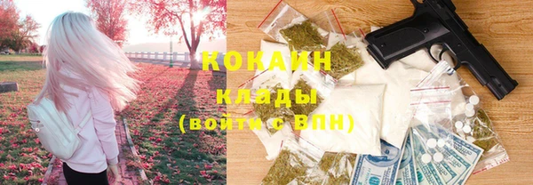 мдпв Козловка