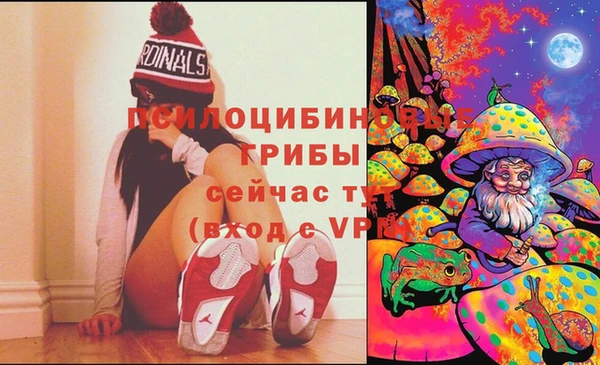 мдма Козельск