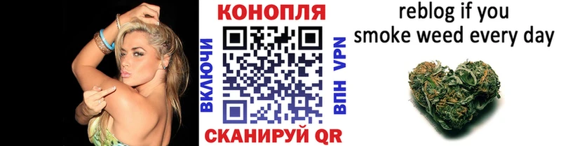 MEGA ССЫЛКА  Кудымкар  Каннабис гибрид 